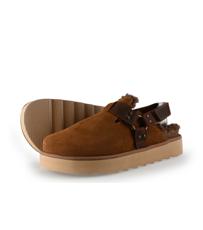 Colors of California Muiltjes