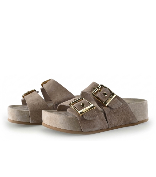 Colors of California Muiltjes