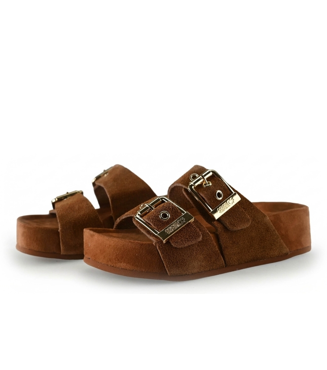 Colors of California Muiltjes