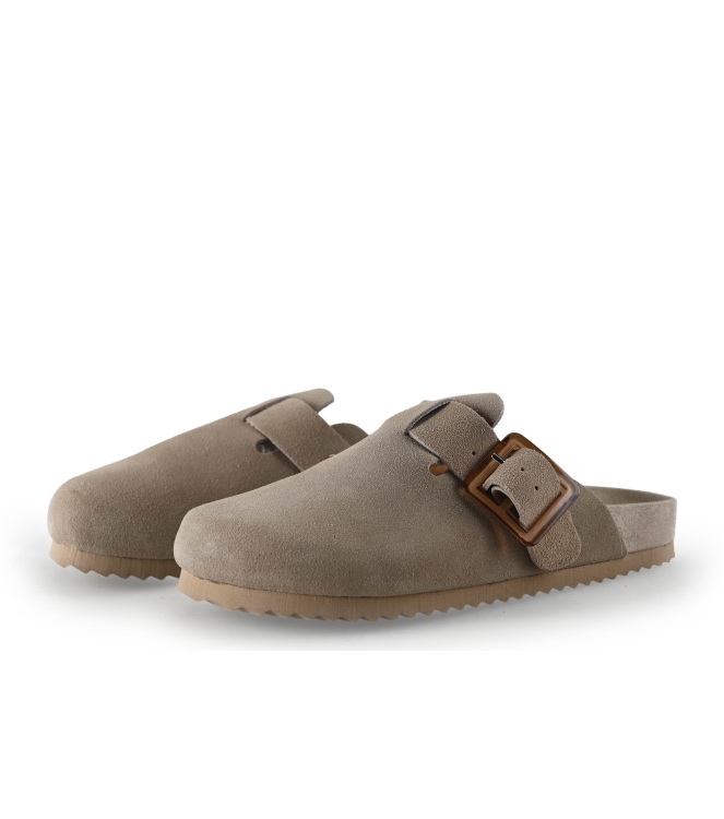 Colors of California Muiltjes