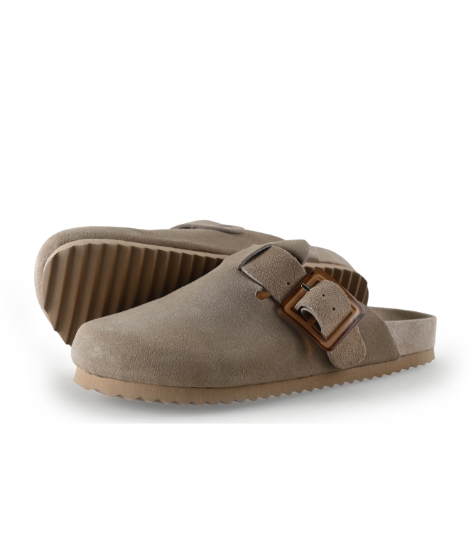 Colors of California Muiltjes