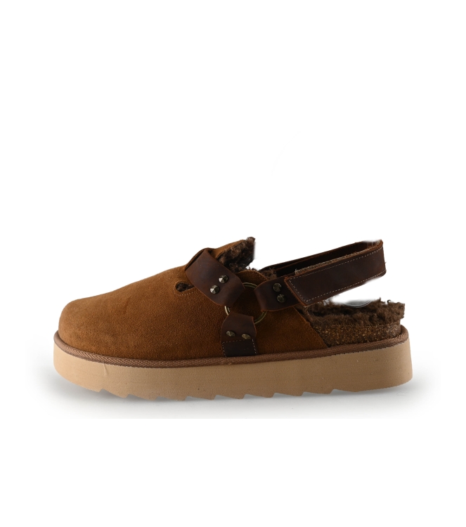 Colors of California Muiltjes