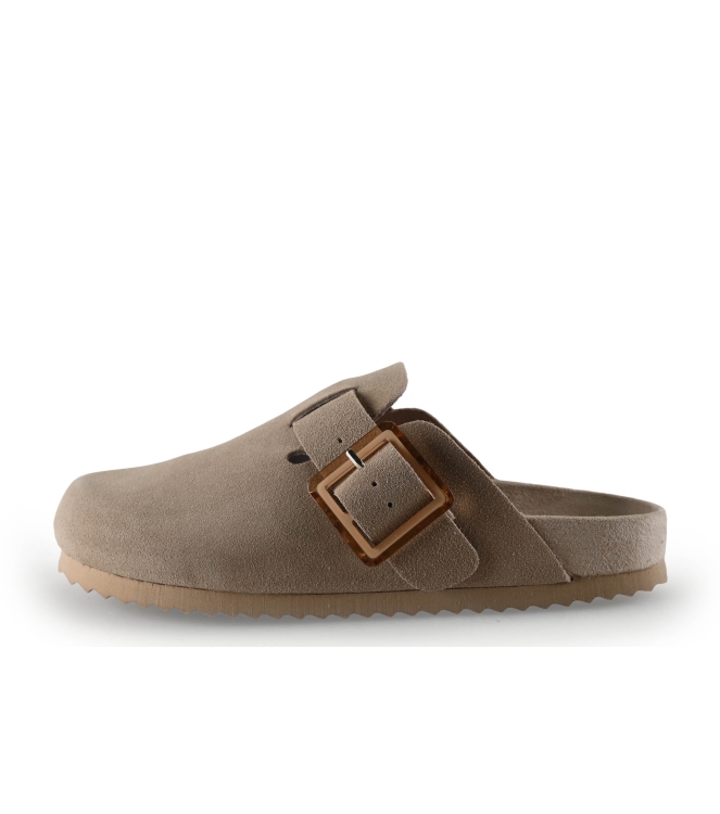 Colors of California Muiltjes