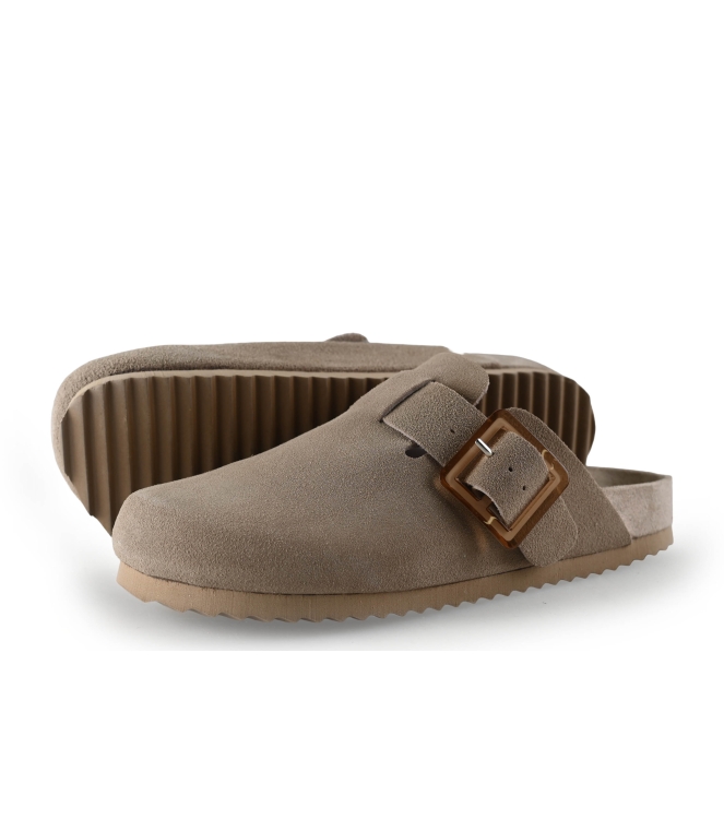 Colors of California Muiltjes