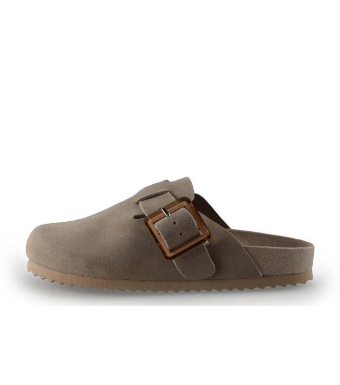 Colors of California Muiltjes