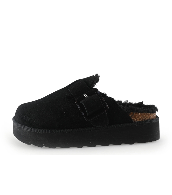 Colors of California Muiltjes