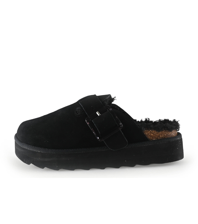 Colors of California Muiltjes