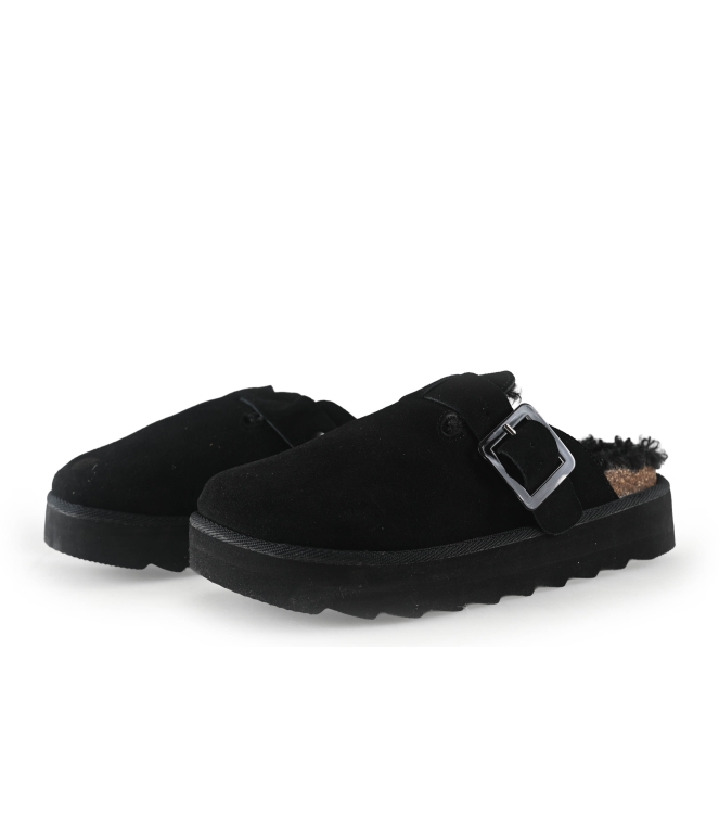 Colors of California Muiltjes