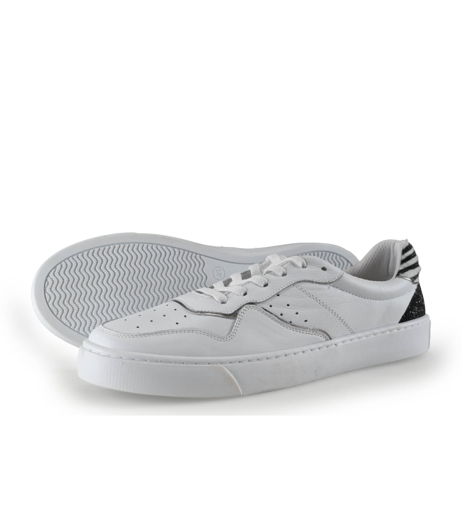 Colors of California Sneakers