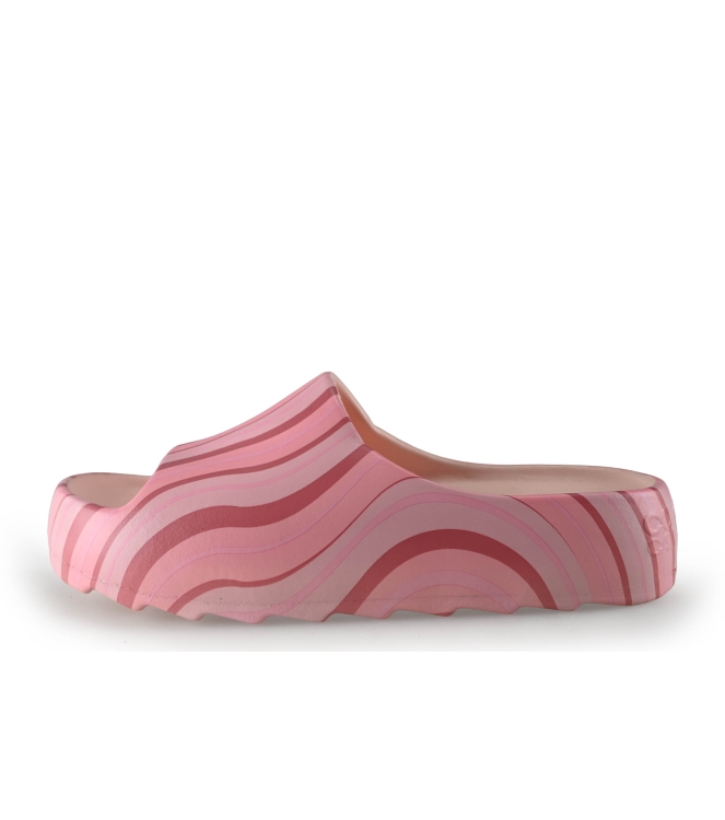 Colors of California Muiltjes