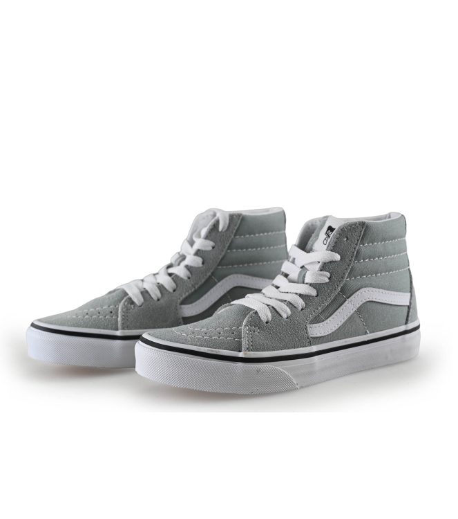Vans Hoge sneakers