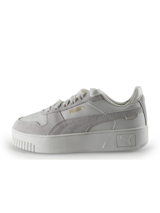 Puma Sneakers Grijs 310487