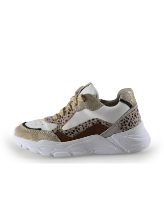 Keq Sneakers Goud 310790