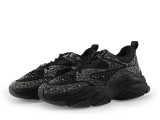 Steve Madden Sneakers