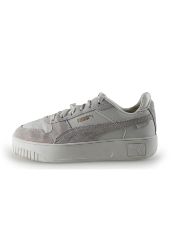 Puma Sneakers Grijs 313145