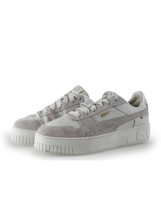 Puma Sneakers Grijs 313145