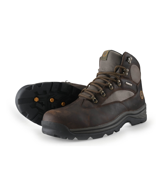 Timberland Wandelschoenen