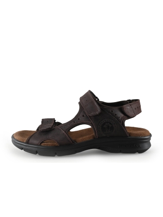 Panama Jack Sandalen Bruin 314504