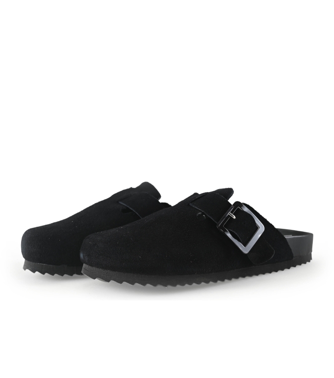 Colors of California Muiltjes