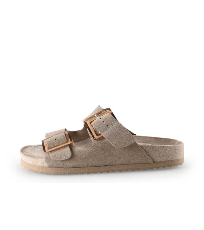 Colors of California Muiltjes