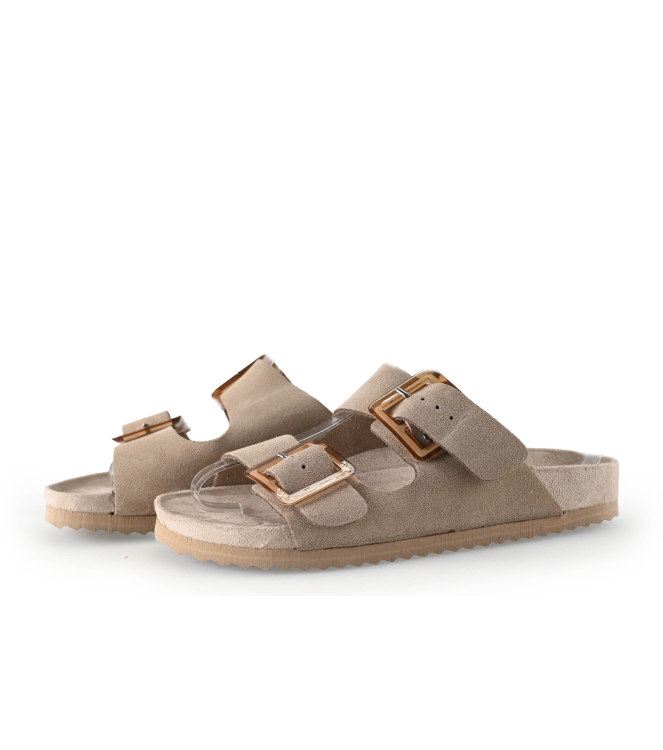 Colors of California Muiltjes