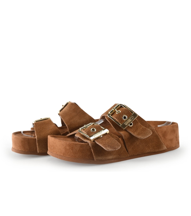 Colors of California Muiltjes