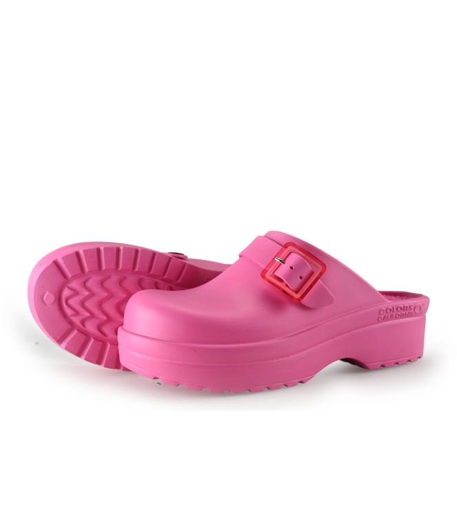 Colors of California Muiltjes