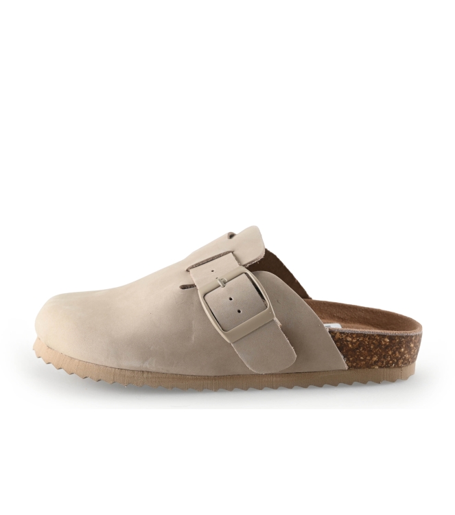 Colors of California Muiltjes