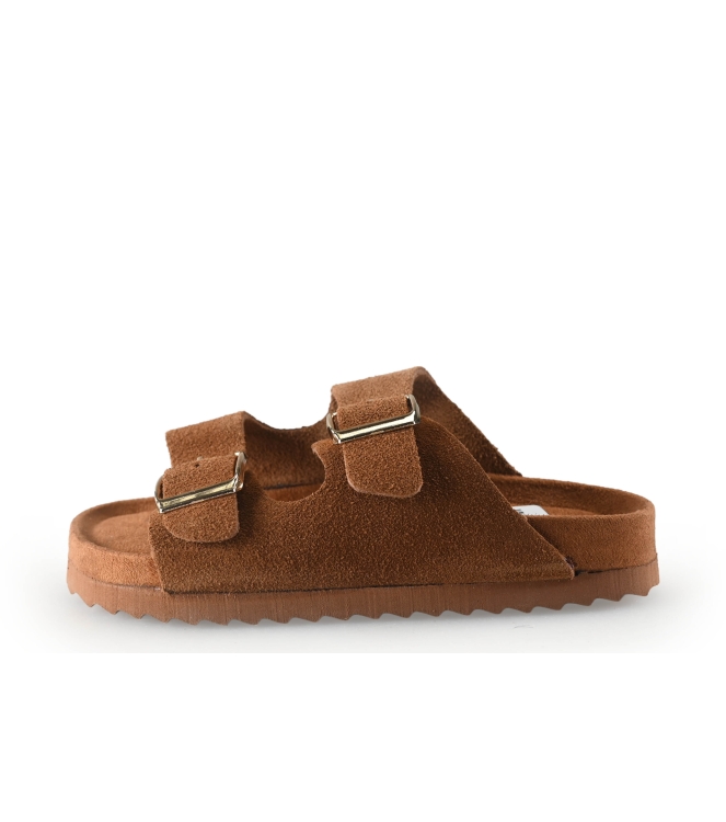 Colors of California Muiltjes