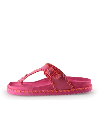 Colors of California Slippers Roze 315259