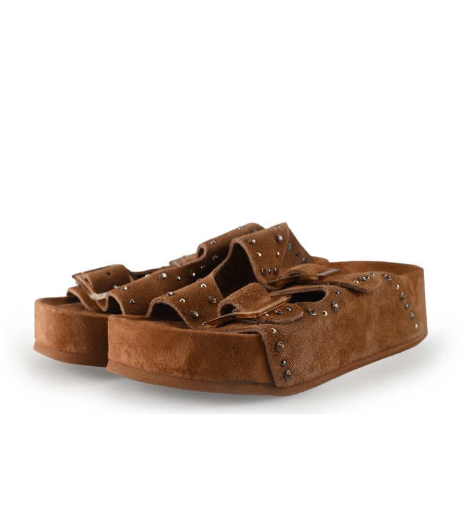 Colors of California Muiltjes