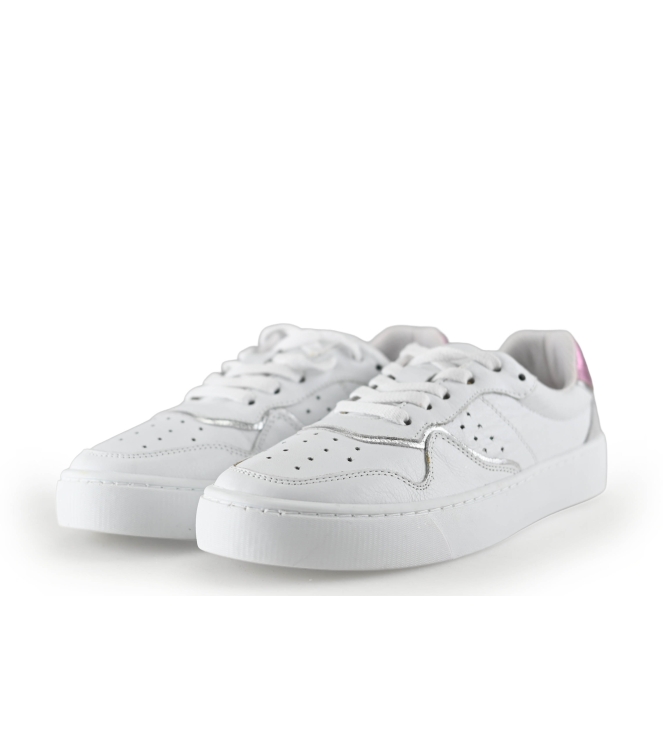 Colors of California Sneakers