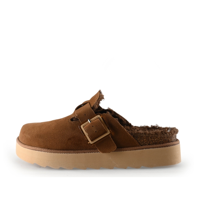 Colors of California Muiltjes