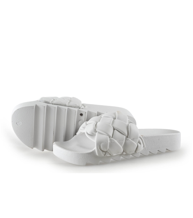 Colors of California Muiltjes