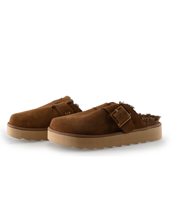 Colors of California Muiltjes