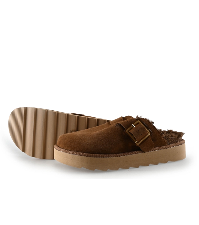 Colors of California Muiltjes