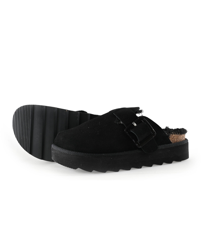 Colors of California Muiltjes