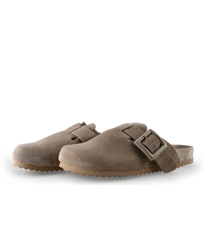 Colors of California Muiltjes