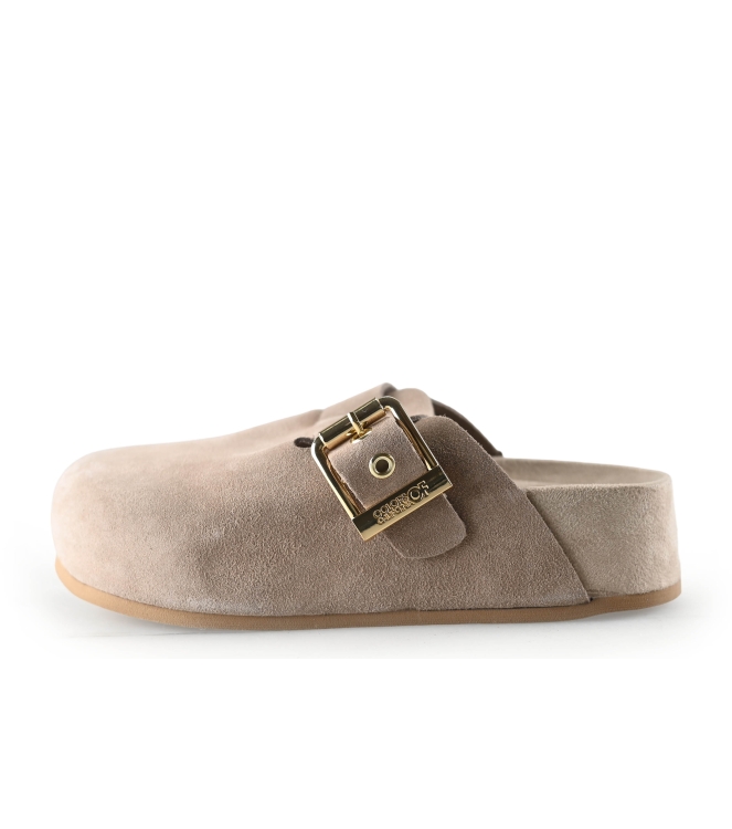 Colors of California Muiltjes