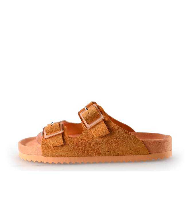 Colors of California Muiltjes