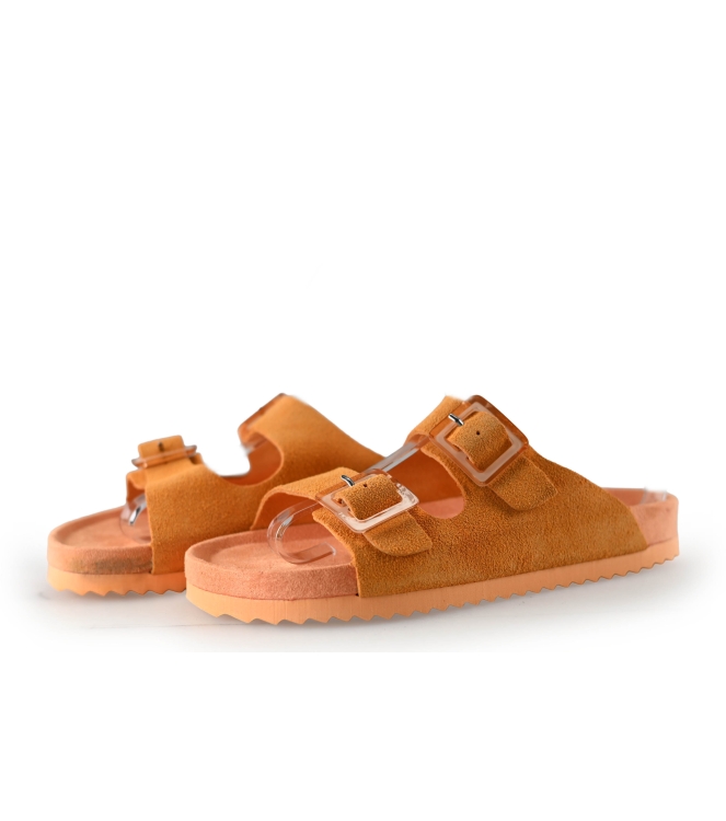 Colors of California Muiltjes