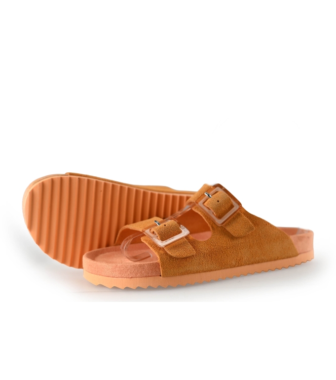 Colors of California Muiltjes