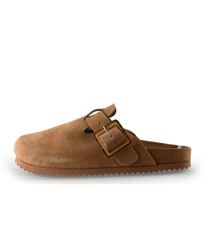 Colors of California Muiltjes