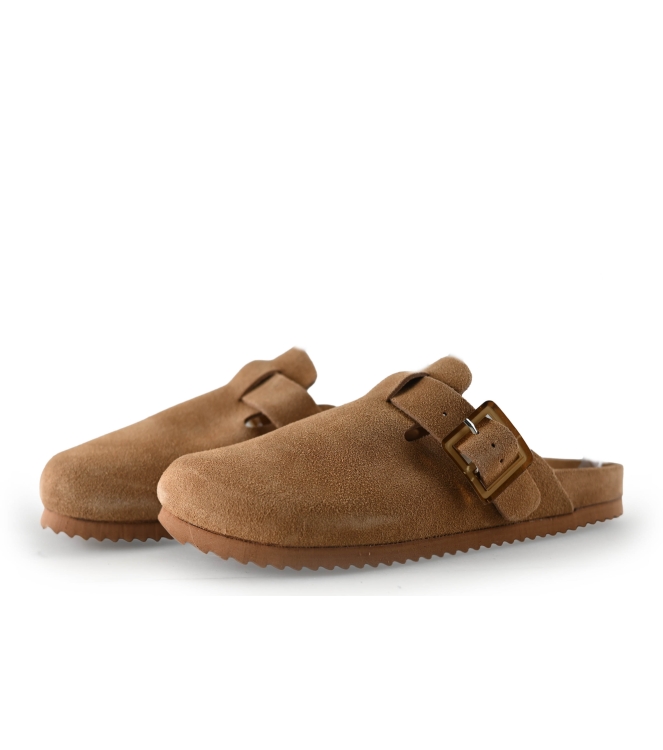 Colors of California Muiltjes