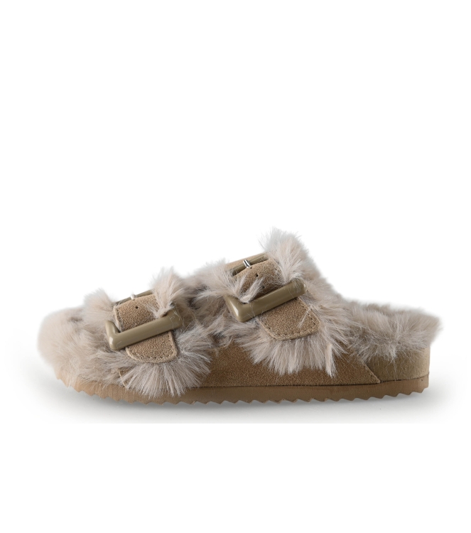 Colors of California Muiltjes