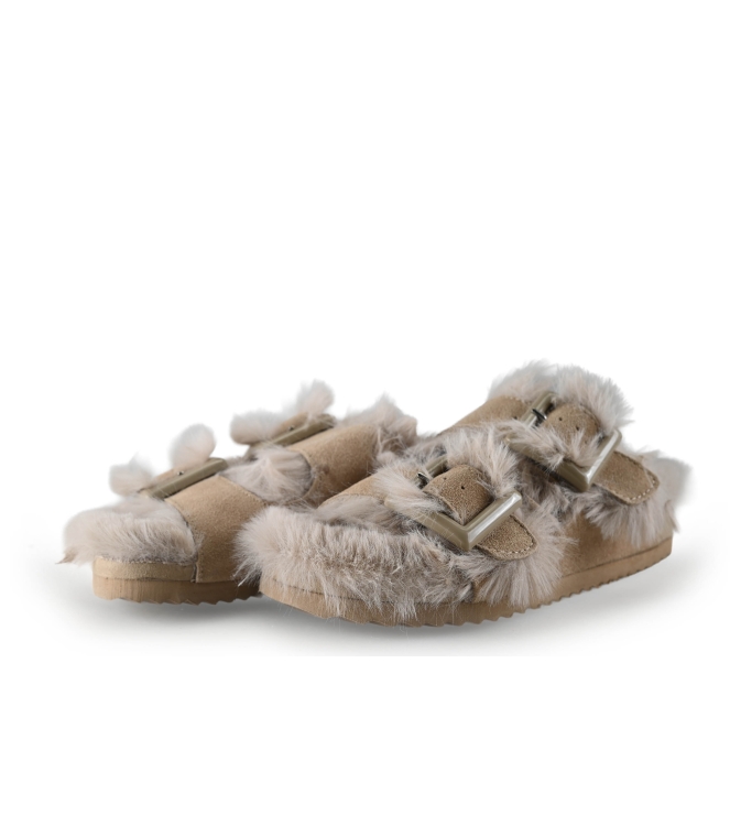 Colors of California Muiltjes