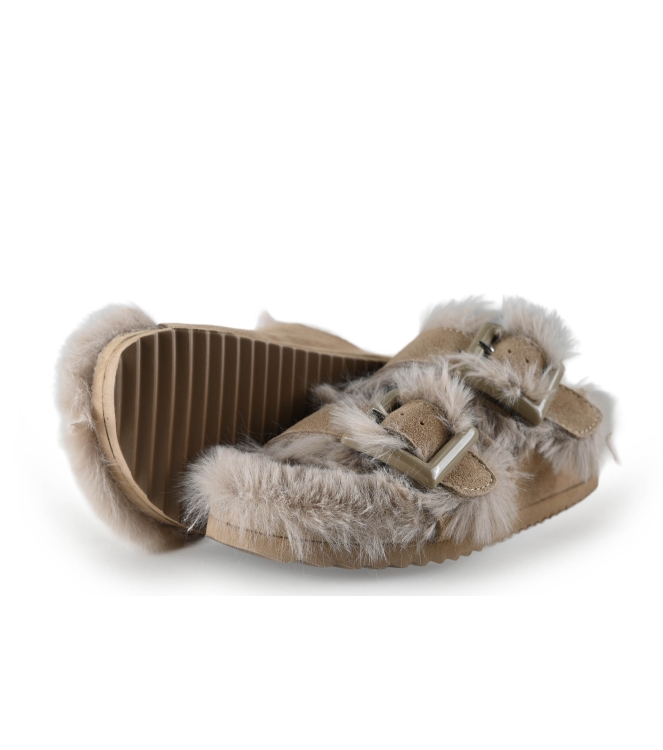 Colors of California Muiltjes