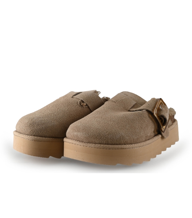 Colors of California Muiltjes