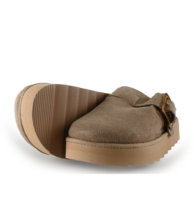 Colors of California Muiltjes