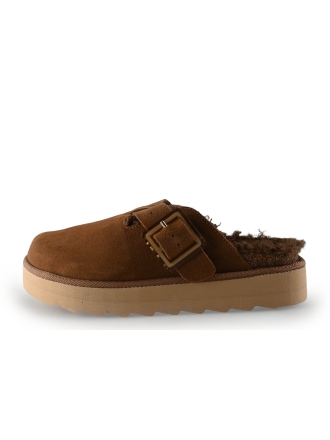 Colors of California Muiltjes Bruin 315814